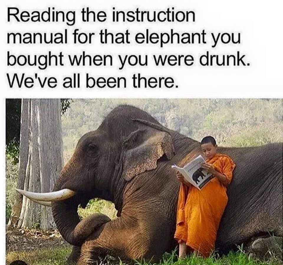 mad elephant buddha - Reading the instruction manual for that elephant you bought when you were drunk. We've all been there.