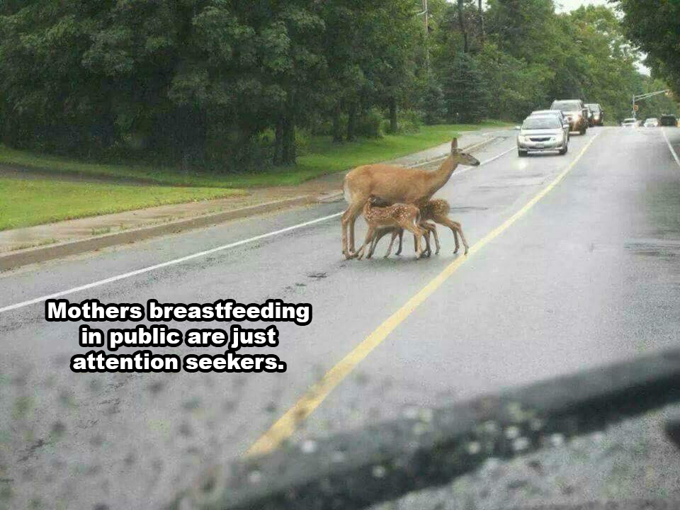 whole breastfeeding in public thing is getting out of control - Mothers breastfeeding in public are just attention seekers.