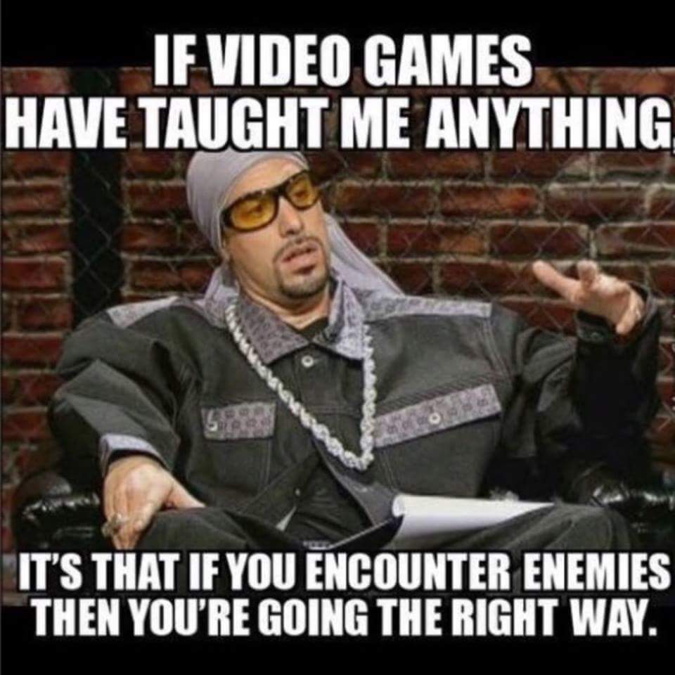 if videogames have taught me anything - If Video Games Have Taught Me Anything It'S That If You Encounter Enemies Then You'Re Going The Right Way.