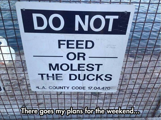 memes - there goes my plans for the weekend - Do Not Feed Or Molest The Ducks L.A. County Code 17.04.470 There goes my plans for the weekend...