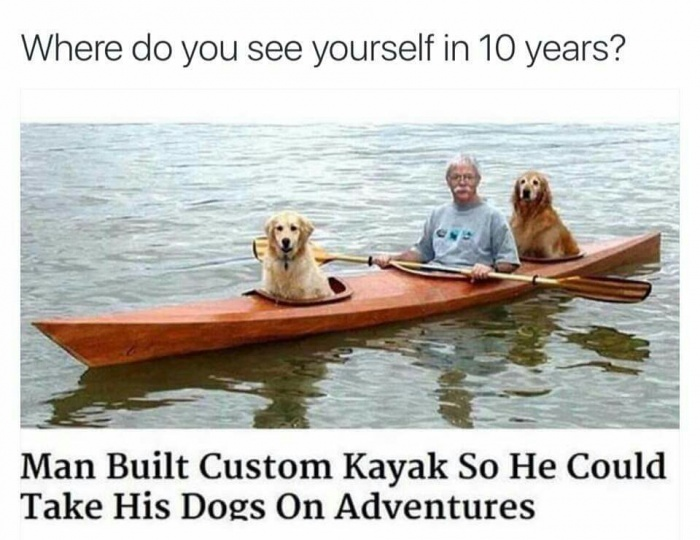 dog in kayak meme - Where do you see yourself in 10 years? Man Built Custom Kayak So He Could Take His Dogs On Adventures