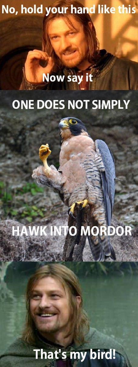 one does not simply hawk into mordor - No, hold your hand this Now say it One Does Not Simply Hawk Into Mordor That's my bird!