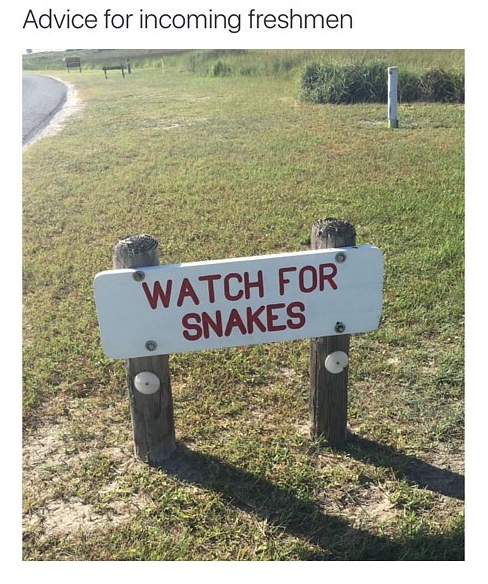 memes - watch out for snakes memes - Advice for incoming freshmen Watch For Snakes