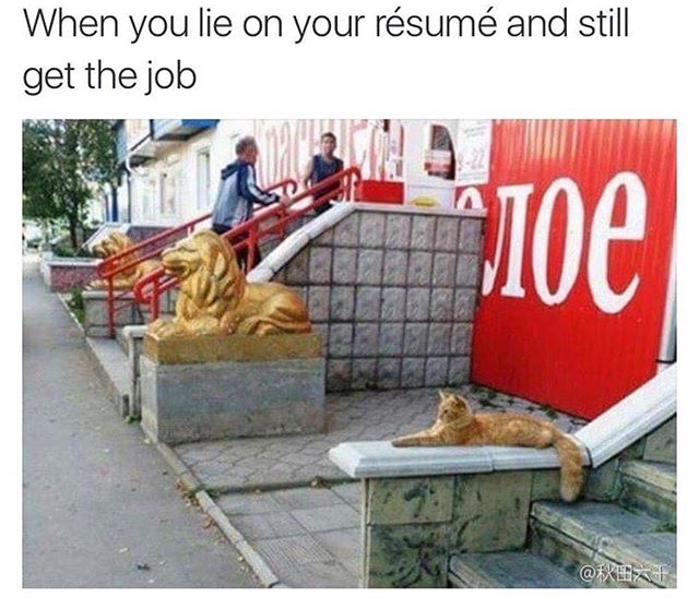 memes - you lied on your resume - When you lie on your rsum and still get the job