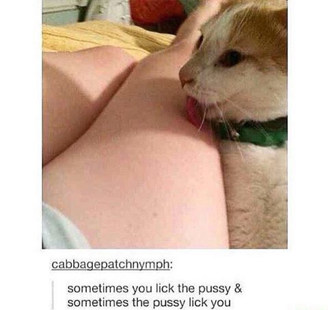 memes - cabbagepatchnymph sometimes you lick the pussy & sometimes the pussy lick you