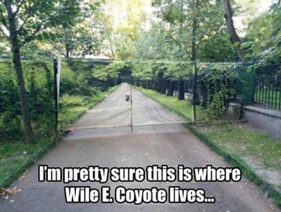 memes - funny gate - I'm pretty sure this is where Wile E. Coyote lives...
