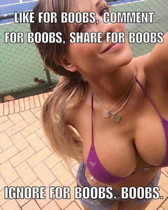 For Boobs, Comment For Boobs, For Boobs Ignore For Boobs. Boobs.