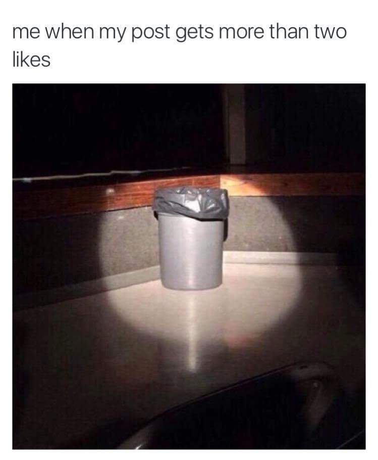 funny picture of spotlight on a trash can for when my post gets more than two likes