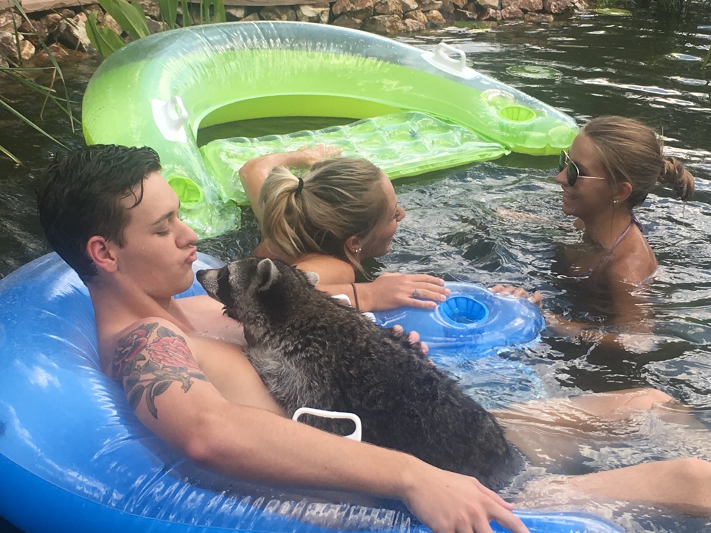funny picture of man the water with 2 girls and a raccoon