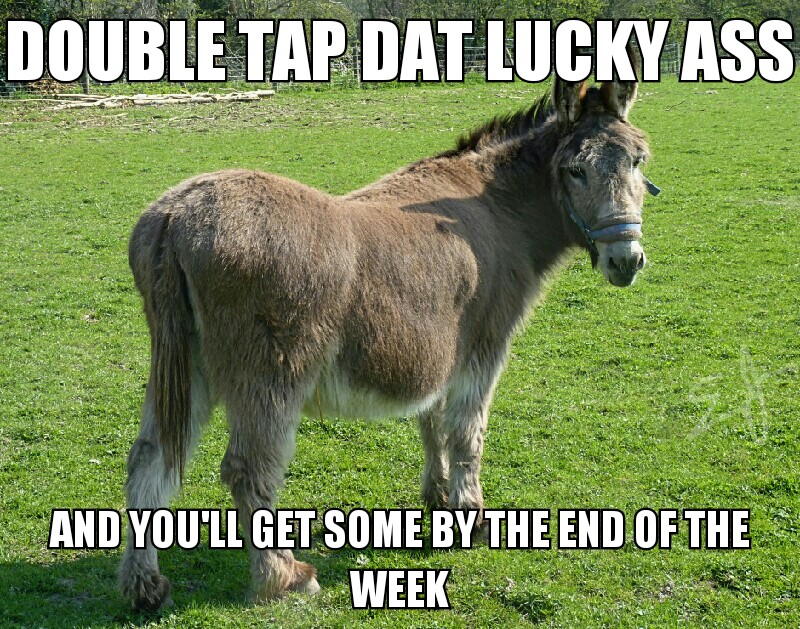 funny impact font meme of a donkey called an ass with some creepy pasta about getting some if you double tap it