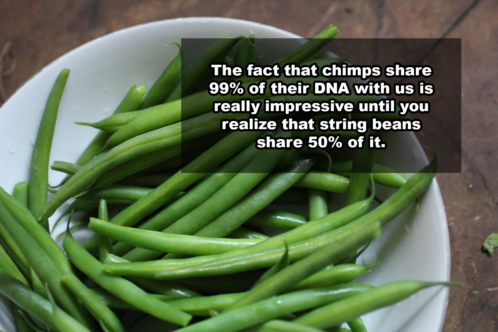 Green bean - The fact that chimps 99% of their Dna with us is really impressive until you realize that string beans 50% of it.