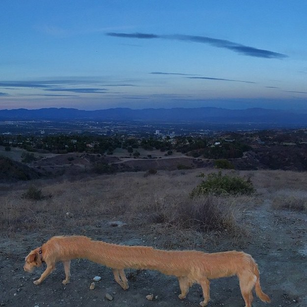 22 Horrid Examples Of When Panoramic Pictures Go Wrong