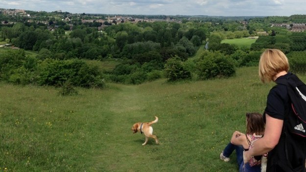 22 Horrid Examples Of When Panoramic Pictures Go Wrong