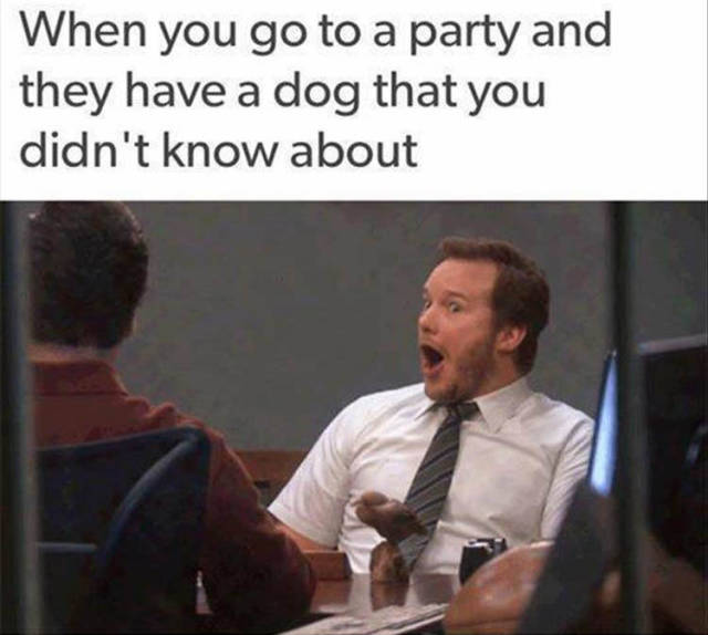 chris pratt parks and rec gif - When you go to a party and they have a dog that you didn't know about
