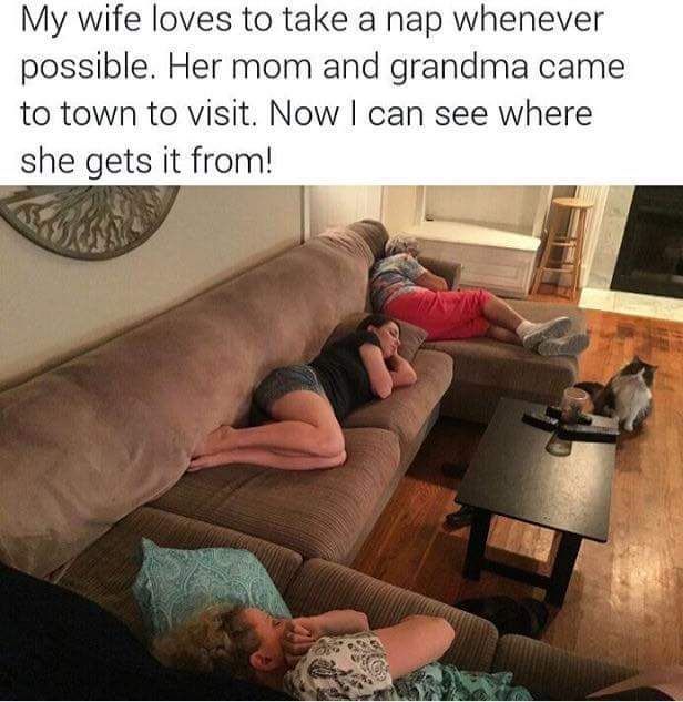wife her meme - My wife loves to take a nap whenever possible. Her mom and grandma came to town to visit. Now I can see where she gets it from!