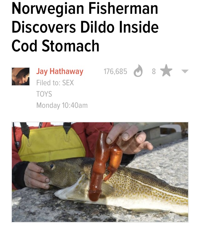 Norwegian Fisherman Discovers Dildo Inside Cod Stomach 176,685 8 Jay Hathaway Filed to Sex Toys Monday am
