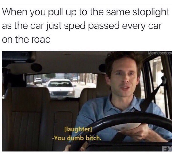 you dumb bitch meme - When you pull up to the same stoplight as the car just sped passed every car on the road Memesodope laughter You dumb bitch.