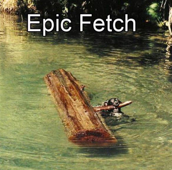 things to keep me entertained - Epic Fetch