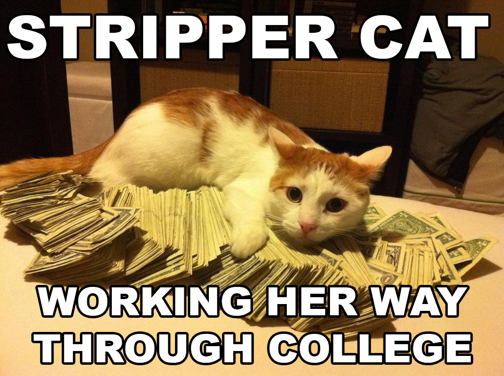 rich kitty - Stripper Cat Working Her Way Through College