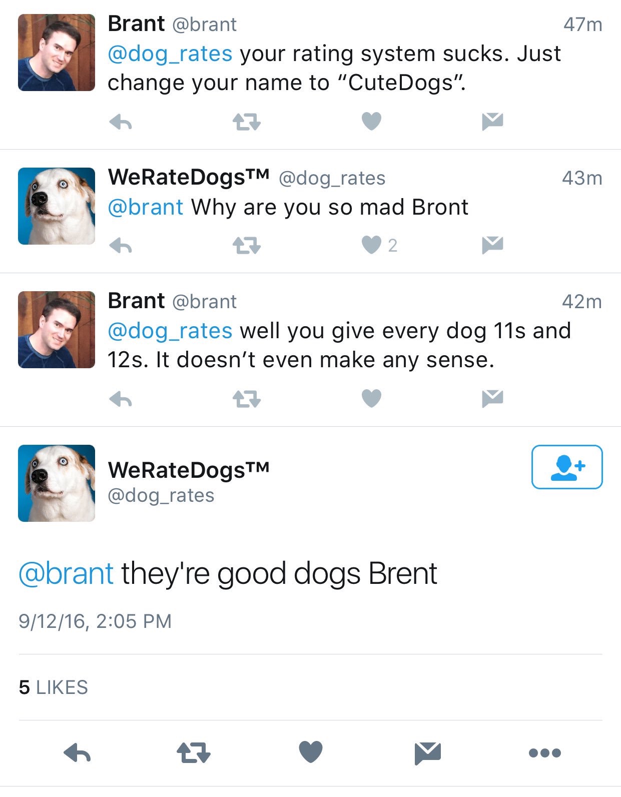 we rate dogs twitter brent - Brant 47m your rating system sucks. Just change your name to "Cute Dogs". 43m WeRateDogsTM Why are you so mad Bront 27 2 Brant 42m well you give every dog 11s and 12s. It doesn't even make any sense. 27 WeRateDogsTM they're go