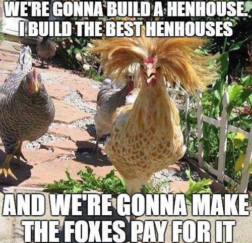 hen house meme - We'Re Gonna'Build A Henhouse Build The Best Henhouses And We'Re Gonna Make The Foxes Pay For It