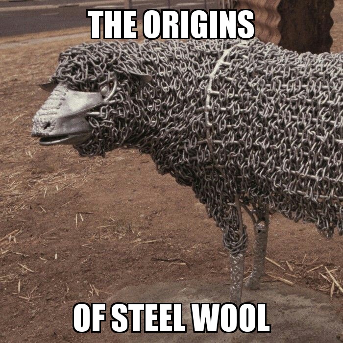 steel sheep - The Origins Of Steel Wool