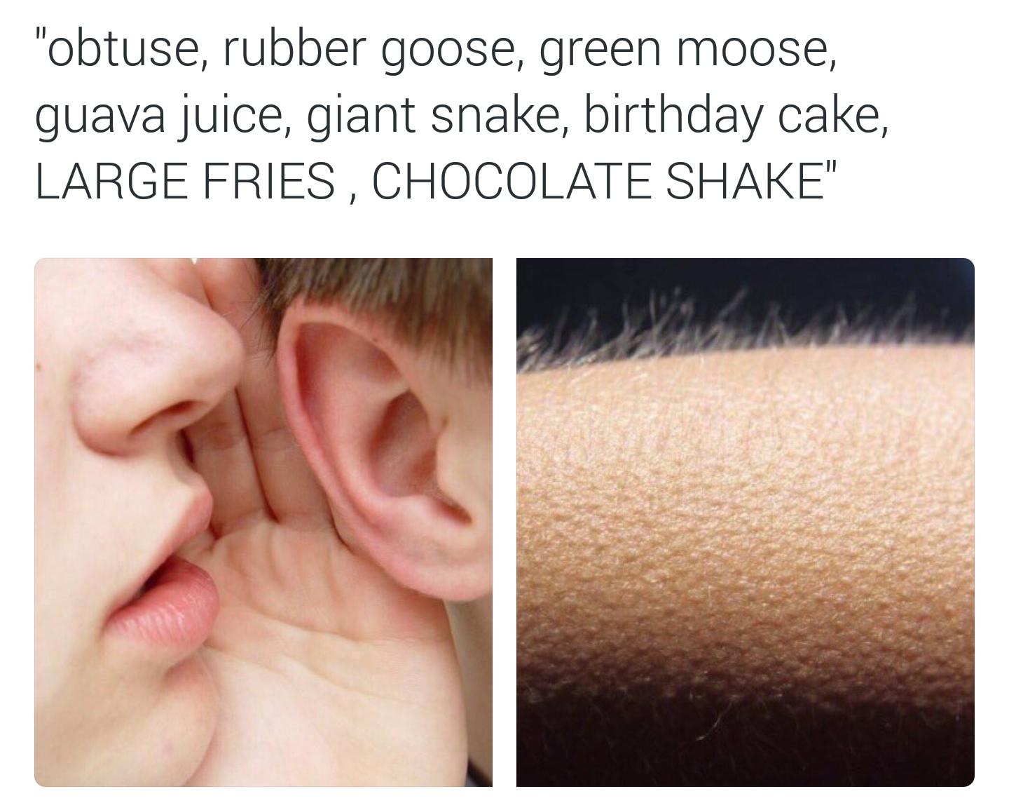 bumpy butt - "obtuse, rubber goose, green moose, guava juice, giant snake, birthday cake, Large Fries , Chocolate Shake"