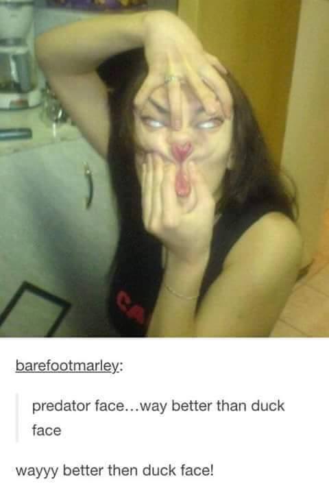 predator face funny - barefootmarley predator face...way better than duck face wayyy better then duck face!