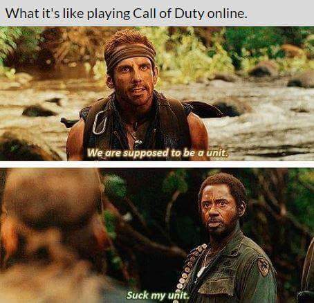 we are supposed to be a unit - What it's playing Call of Duty online. We are supposed to be a unit. Suck my unit.