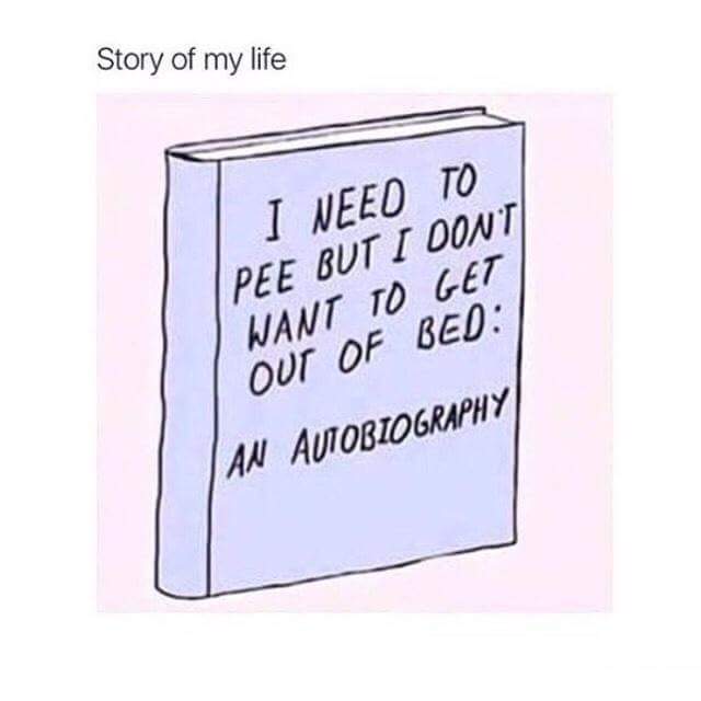 paper - Story of my life I Need To Pee But I Dont Want To Get Out Of Bed An Autobiography