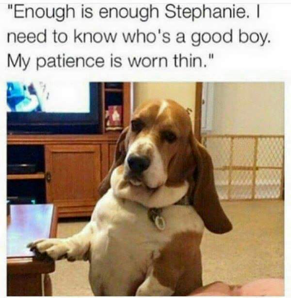 good boy - "Enough is enough Stephanie. I need to know who's a good boy. My patience is worn thin."