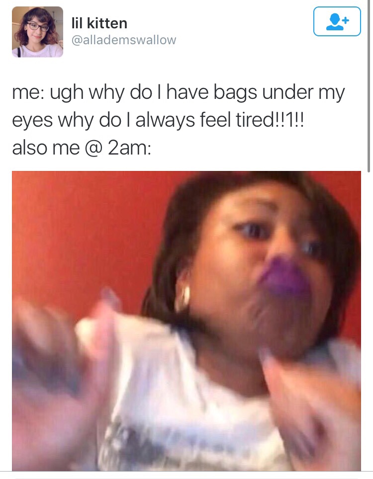 my eyes feel tired - lil kitten me ugh why do I have bags under my eyes why do I always feel tired!!1!! also me @ 2am