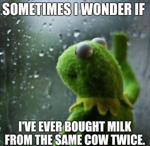 have you ever meme - Sometimes I Wonder If I'Ve Ever Bought Milk From The Same Cow Twice.