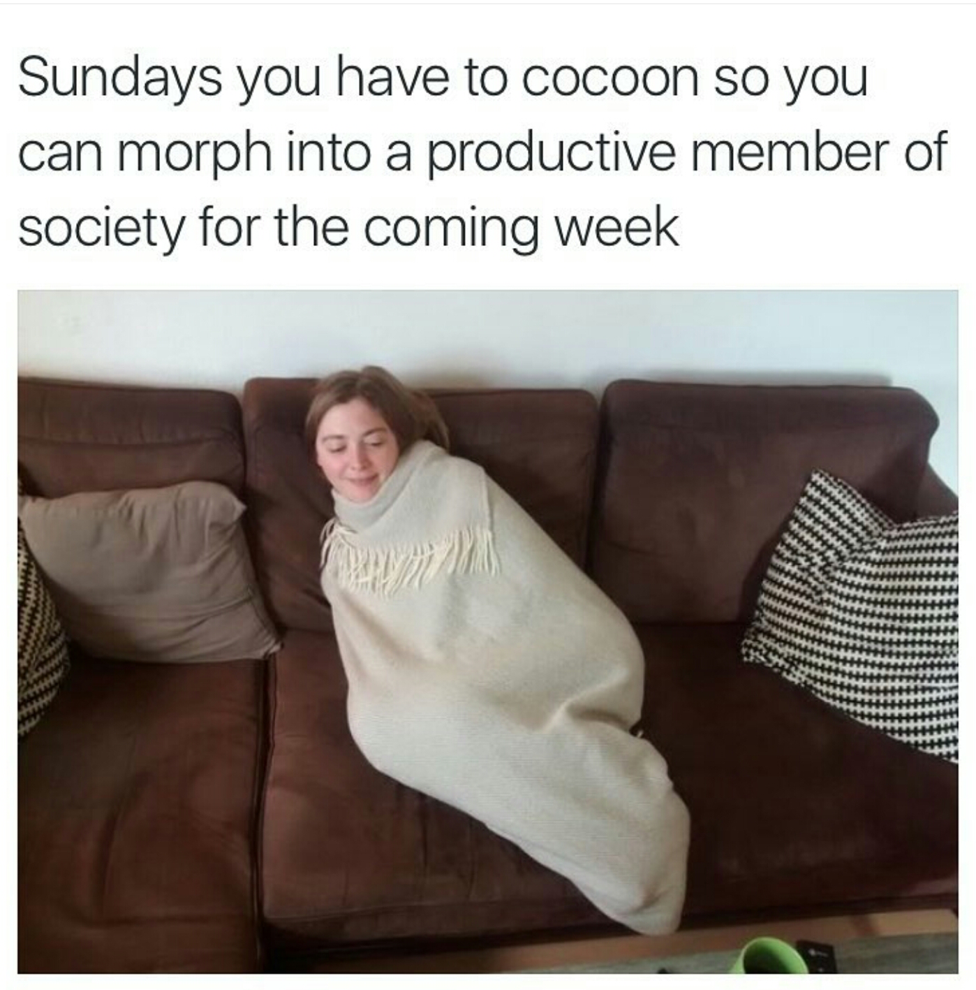 don t wanna go out meme - Sundays you have to cocoon so you can morph into a productive member of society for the coming week