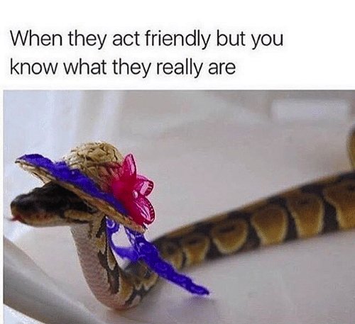 snakes with hats - When they act friendly but you know what they really are