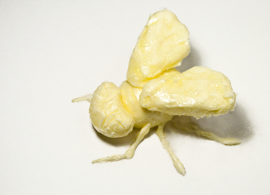 fly made out of butter