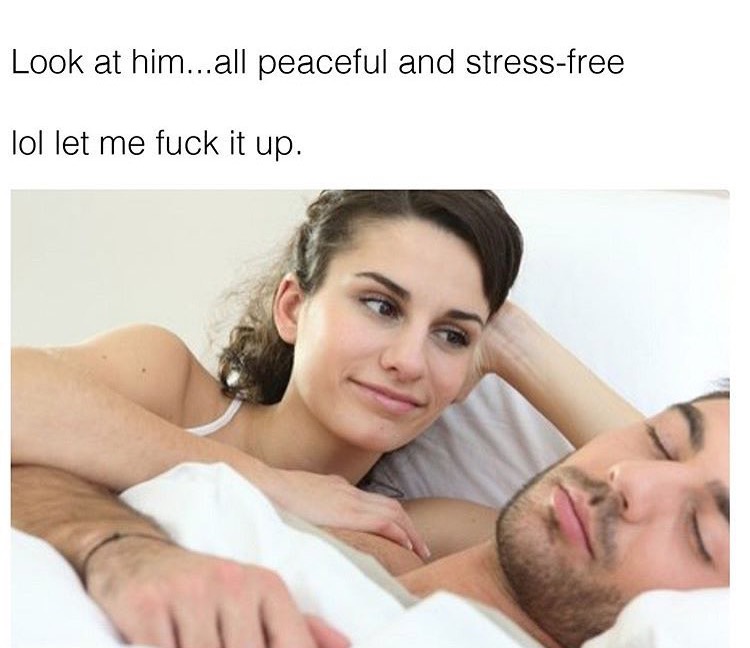 36 Great Pics And Memes to Improve Your Mood