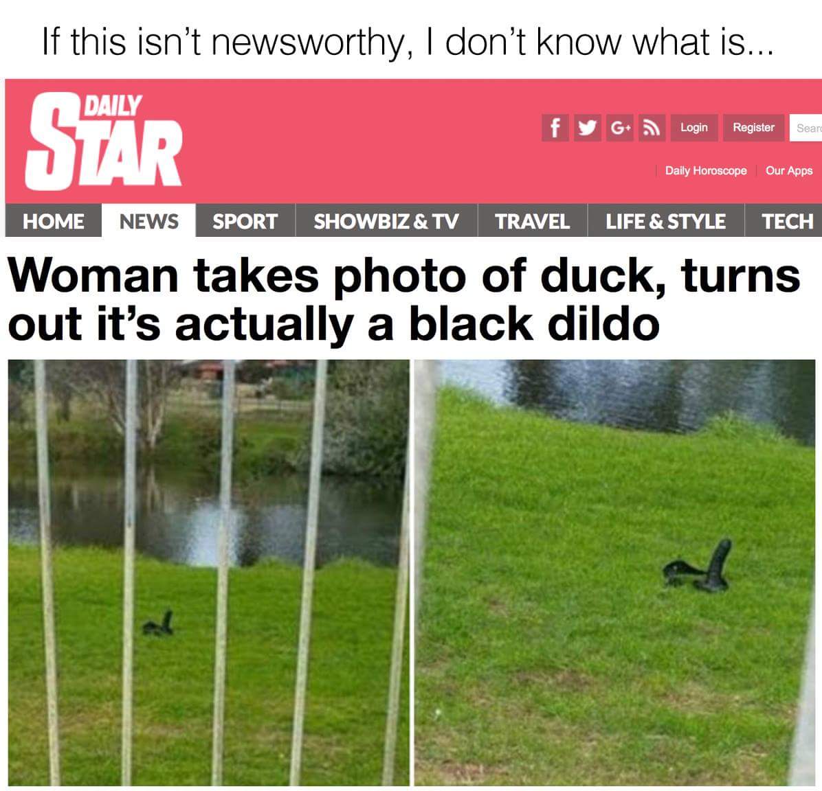 duck black dildo - If this isn't newsworthy, I don't know what is.... Daily f y Login Star G Register Login Sear Register Sean Daily Horoscope Our Apps Home News Sport Showbiz & Tv Travel Life & Style Tech Woman takes photo of duck, turns out it's actuall