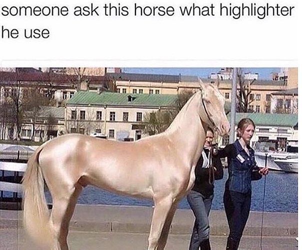 akha l teke - someone ask this horse what highlighter he use