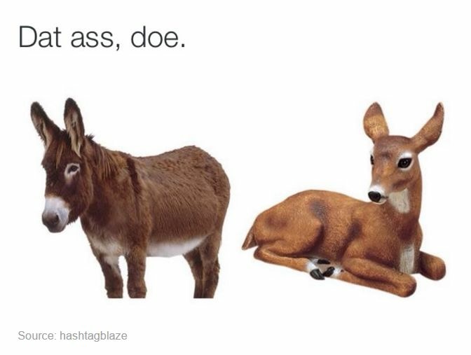 ass puns - Dat ass, doe. Source hashtagblaze