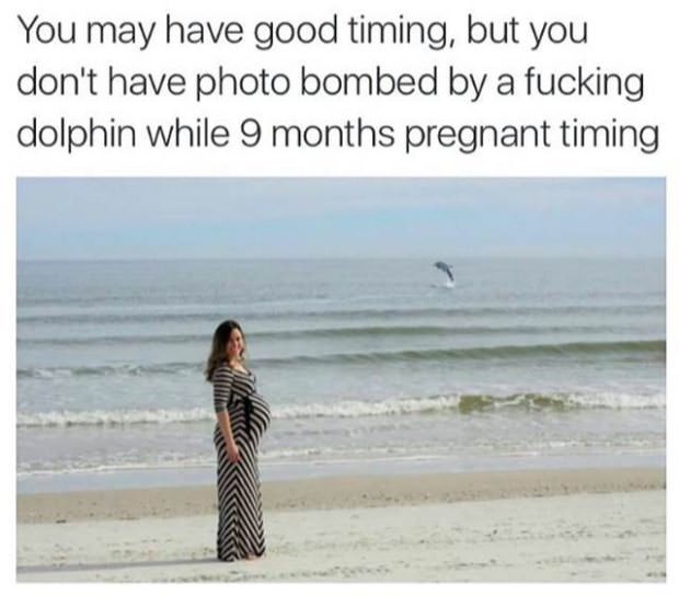 1 peter 3 3 4 - You may have good timing, but you don't have photo bombed by a fucking dolphin while 9 months pregnant timing