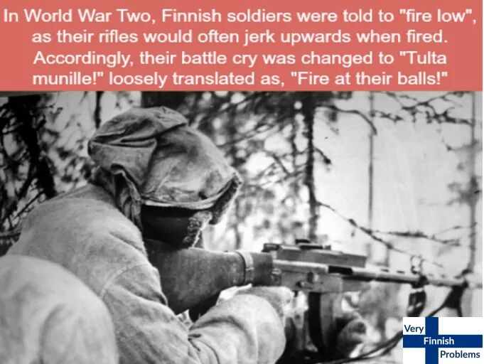 21 Very Finnish Problems