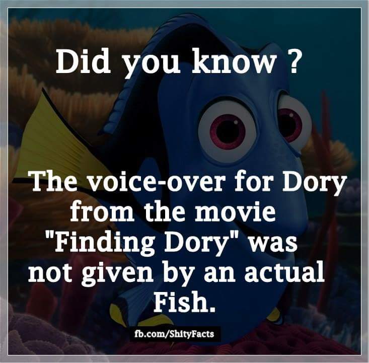 did you know shitty facts - Did you know? The voiceover for Dory from the movie "Finding Dory" was not given by an actual Fish. fb.comShityFacts