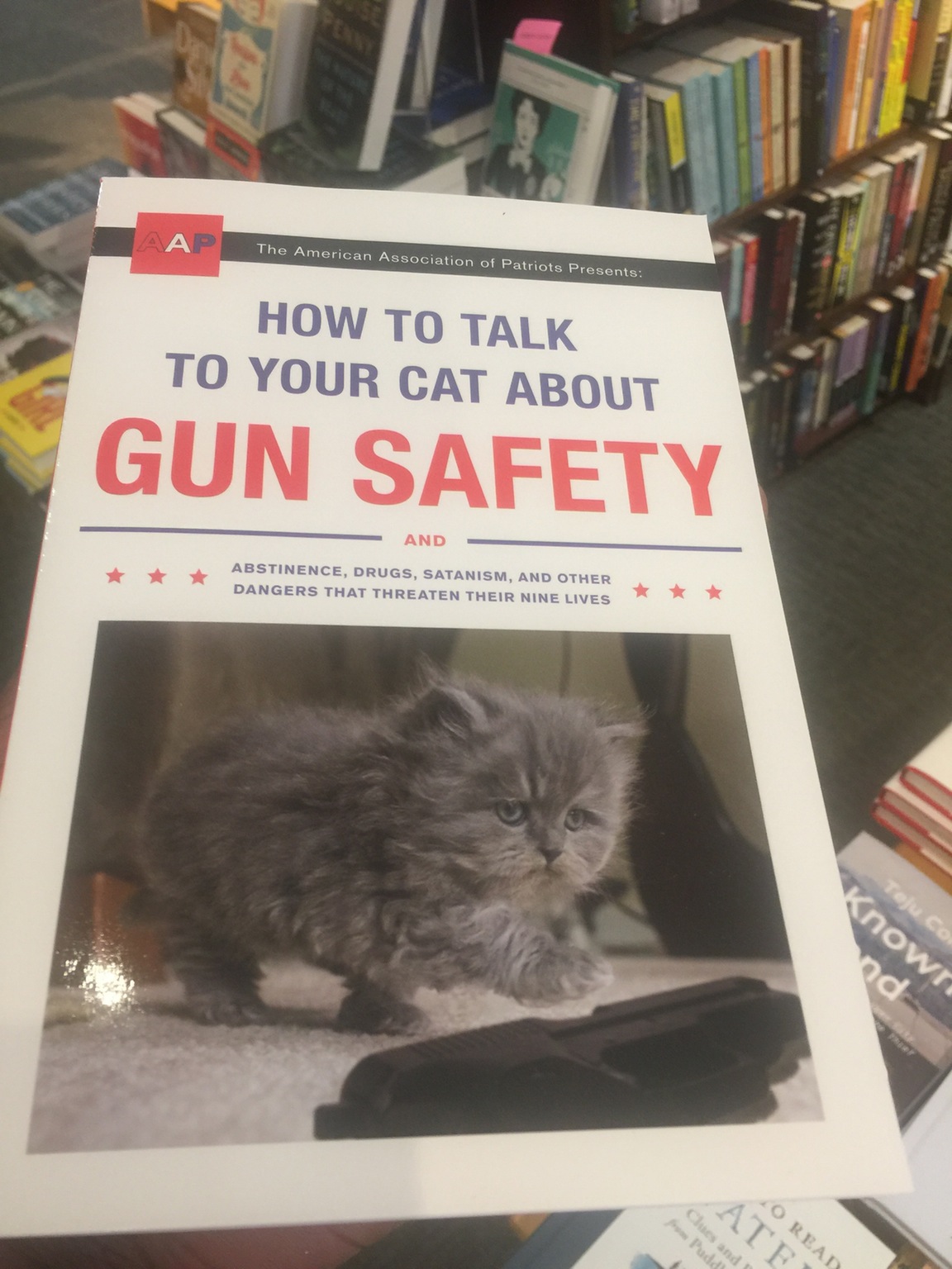 cat safety meme - Aap The American Association of Patriots Presents How To Talk To Your Cat About Gun Safety And Abstinence, Drugs, Satanism, And Other Dangers That Threaten Their Nine Lives Teu Co Know ao Atf Lo Rean from Puddi
