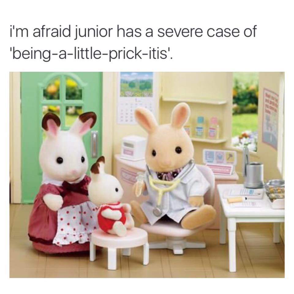 sylvanian families funny memes - i'm afraid junior has a severe case of 'beingalittleprickitis'.