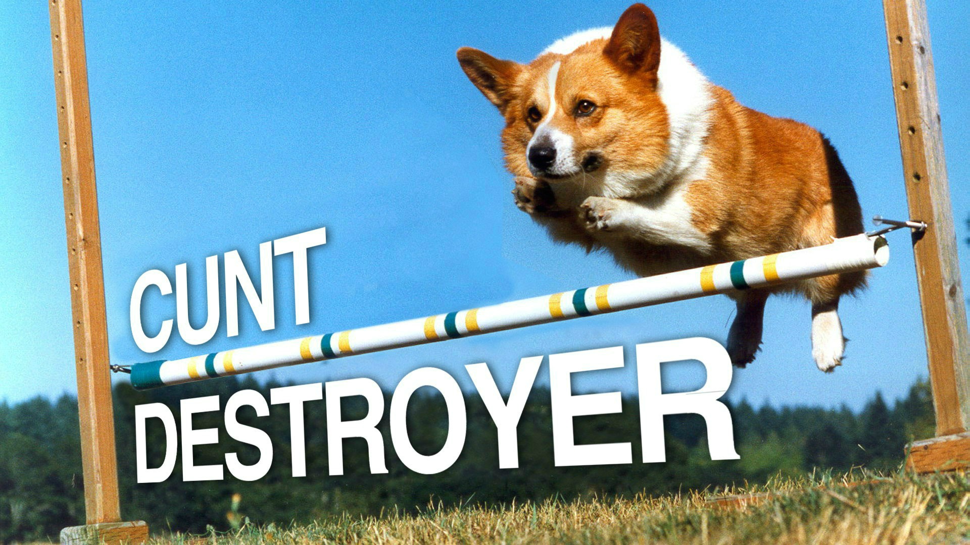 cunt destroyer corgi - Cunt Destroyer