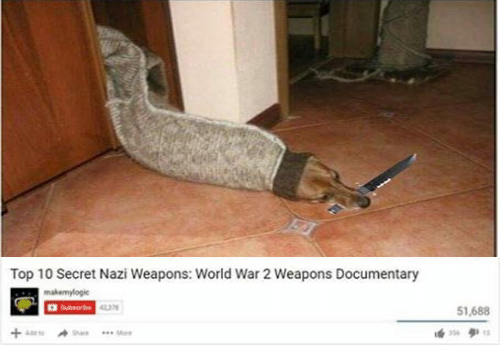 dog snake - Top 10 Secret Nazi Weapons World War 2 Weapons Documentary Barth 51,688