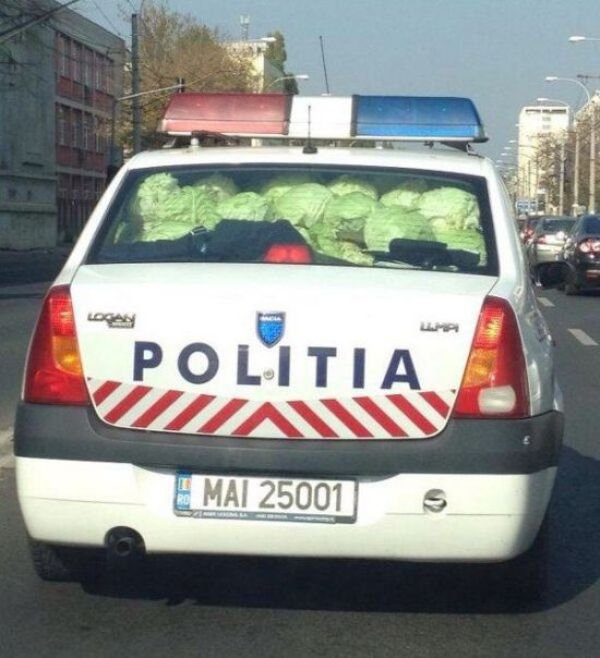 romanian police car