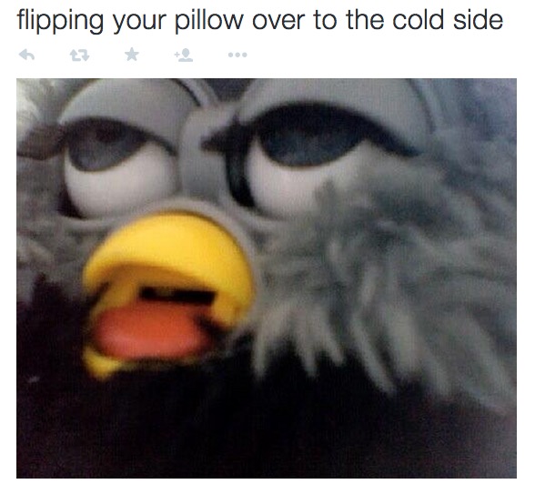 24 Fresh Memes To Kick Start Your Day