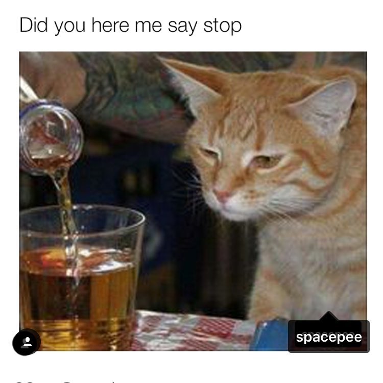 meme stream - drink funny - Did you here me say stop spacepee